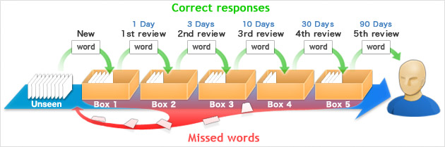 Leitner System for Flashcards